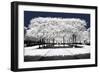 Another Look - Paris-Philippe Hugonnard-Framed Photographic Print