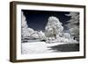 Another Look - Paris-Philippe Hugonnard-Framed Photographic Print