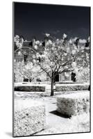 Another Look - Paris-Philippe Hugonnard-Mounted Photographic Print