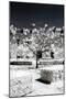 Another Look - Paris-Philippe Hugonnard-Mounted Photographic Print