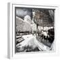 Another Look - Paris-Philippe Hugonnard-Framed Photographic Print