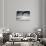 Another Look - Paris-Philippe Hugonnard-Photographic Print displayed on a wall