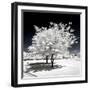 Another Look - Paris-Philippe Hugonnard-Framed Photographic Print