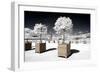 Another Look - Paris-Philippe Hugonnard-Framed Photographic Print