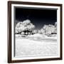 Another Look - Paris-Philippe Hugonnard-Framed Photographic Print