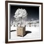 Another Look - Paris-Philippe Hugonnard-Framed Photographic Print