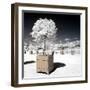 Another Look - Paris-Philippe Hugonnard-Framed Photographic Print