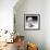 Another Look - Paris-Philippe Hugonnard-Framed Photographic Print displayed on a wall