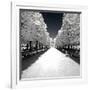 Another Look - Paris-Philippe Hugonnard-Framed Photographic Print