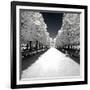 Another Look - Paris-Philippe Hugonnard-Framed Photographic Print