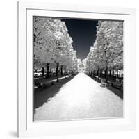 Another Look - Paris-Philippe Hugonnard-Framed Photographic Print