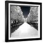 Another Look - Paris-Philippe Hugonnard-Framed Photographic Print