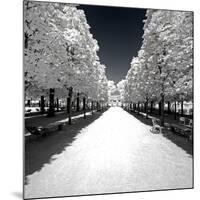 Another Look - Paris-Philippe Hugonnard-Mounted Photographic Print