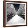 Another Look - Paris-Philippe Hugonnard-Framed Photographic Print