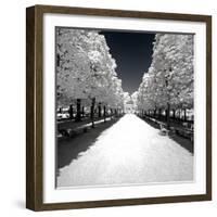 Another Look - Paris-Philippe Hugonnard-Framed Photographic Print