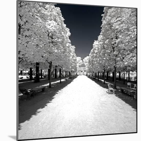 Another Look - Paris-Philippe Hugonnard-Mounted Photographic Print