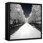 Another Look - Paris-Philippe Hugonnard-Framed Stretched Canvas