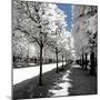 Another Look - Paris-Philippe Hugonnard-Mounted Photographic Print