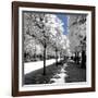 Another Look - Paris-Philippe Hugonnard-Framed Photographic Print