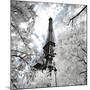 Another Look - Paris-Philippe Hugonnard-Mounted Photographic Print