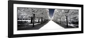 Another Look - Paris-Philippe Hugonnard-Framed Photographic Print