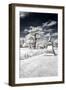 Another Look - Paris-Philippe Hugonnard-Framed Photographic Print