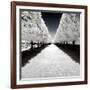 Another Look - Paris-Philippe Hugonnard-Framed Photographic Print