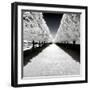 Another Look - Paris-Philippe Hugonnard-Framed Photographic Print