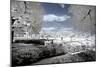 Another Look - Paris-Philippe Hugonnard-Mounted Photographic Print