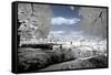 Another Look - Paris-Philippe Hugonnard-Framed Stretched Canvas