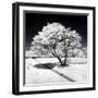 Another Look - Paris-Philippe Hugonnard-Framed Photographic Print