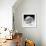 Another Look - Paris-Philippe Hugonnard-Framed Photographic Print displayed on a wall