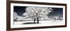 Another Look - Paris-Philippe Hugonnard-Framed Photographic Print