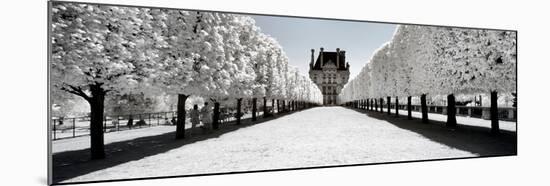 Another Look - Paris-Philippe Hugonnard-Mounted Photographic Print