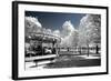 Another Look - Paris-Philippe Hugonnard-Framed Photographic Print