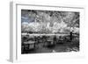 Another Look - Paris-Philippe Hugonnard-Framed Photographic Print