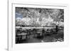 Another Look - Paris-Philippe Hugonnard-Framed Photographic Print