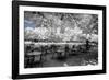 Another Look - Paris-Philippe Hugonnard-Framed Photographic Print