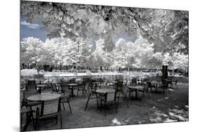 Another Look - Paris-Philippe Hugonnard-Mounted Photographic Print