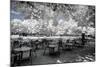 Another Look - Paris-Philippe Hugonnard-Mounted Photographic Print