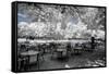 Another Look - Paris-Philippe Hugonnard-Framed Stretched Canvas