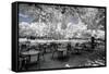 Another Look - Paris-Philippe Hugonnard-Framed Stretched Canvas