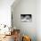 Another Look - Paris-Philippe Hugonnard-Photographic Print displayed on a wall