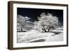 Another Look - Paris-Philippe Hugonnard-Framed Photographic Print