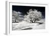 Another Look - Paris-Philippe Hugonnard-Framed Photographic Print