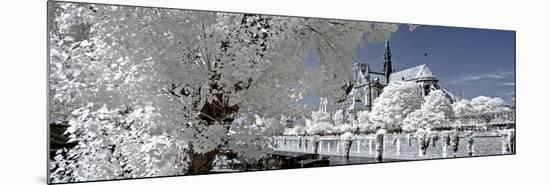 Another Look - Paris-Philippe Hugonnard-Mounted Photographic Print