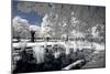 Another Look - Paris-Philippe Hugonnard-Mounted Photographic Print