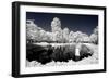 Another Look - Paris-Philippe Hugonnard-Framed Photographic Print