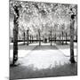 Another Look - Paris-Philippe Hugonnard-Mounted Photographic Print