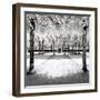 Another Look - Paris-Philippe Hugonnard-Framed Photographic Print